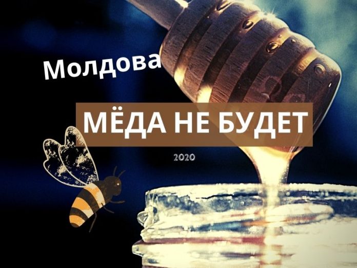 Мёда не будет