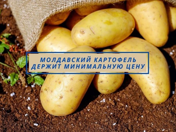 Молдавский картофель держит минимальную цену