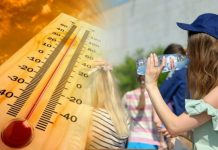 🌡Прогноз погоды: с 6 августа в Приднестровье ожидается повышение температуры Ожидается повышение температуры воздуха