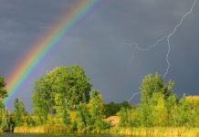 Погода 5 июля 2023 года в Приднестровье Ожидаются дожди с грозами