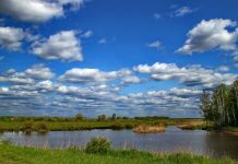 Погода 6 сентября 2023 года в Приднестровье Переменная облачность, погода, без осадков