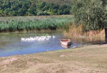 Погода 12 октября 2023 года в Приднестровье Погода в Приднестровье