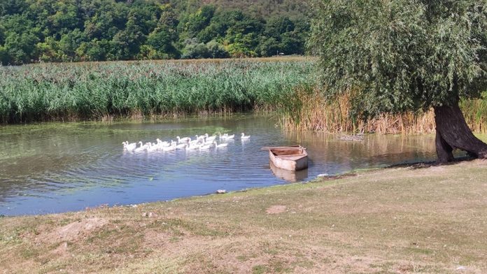 Погода в Приднестровье Погода в Приднестровье