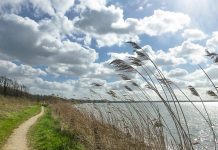 Погода 30 октября 2023 года в Приднестровье Погода ветряная и жаркая