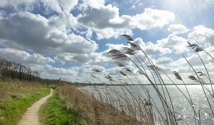 Погода ветряная и жаркая Погода ветряная и жаркая
