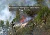 Общая площадь пожара в Рыбнице составила около 2 гектаров. Подробности Пожар в Рыбнице. Возгорание сухой травы