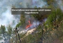 Общая площадь пожара в Рыбнице составила около 2 гектаров. Подробности Пожар в Рыбнице. Возгорание сухой травы