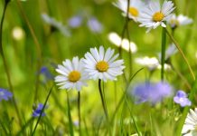 Прогноз погоды на 4 августа Прогноз погоды