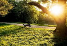 Прогноз погоды на понедельник, 10 августа Прогноз погоды на понедельник