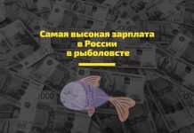 Сколько получает среднестатистический работник в России Самая высокая зарплата в России в рыболовсте