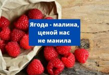 В Молдове недовольны закупочными ценами на малину Ягода - малину
