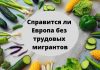 Соберут ли европейские фермеры урожай овощей и фруктов без трудовых мигрантов? Справится ли европа без трудовых мигрантов