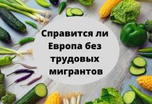 Соберут ли европейские фермеры урожай овощей и фруктов без трудовых мигрантов? Справится ли европа без трудовых мигрантов