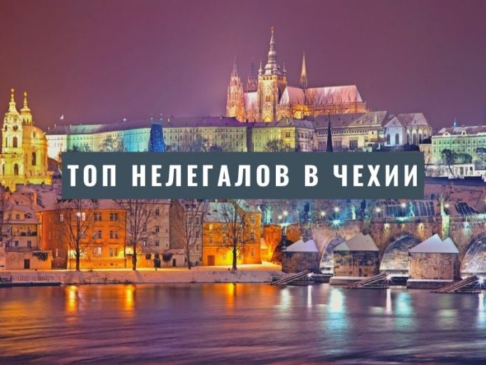 топ нелегалов в Чехии