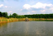 В Приднестровье резко возросло число утонувших Утонул, спасая друга