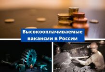Какие вакансии в России самые высокооплачиваемые в 2020 году Высокооплачиваемые вакансии в России