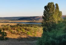 Погода 19 сентября в Приднестровье Прогноз погоды