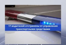Сотрудники ГАИ за неделю выявили более 1,3 тысячи нарушений Правил дорожного движения Более 1000 нарушений Правил дорожного движения зарегистрированы в Приднестровье