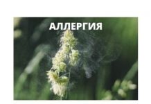 Как справиться с сезонной аллергией без медицинских препаратов АЛЛЕРГИЯ
