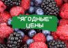 Цены на ягоды выросли в Молдове Ягодные цены