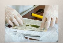 Любители каннабиса были задержаны с поличным в Рыбнице юбители каннабиса были задержаны с поличным в Рыбнице