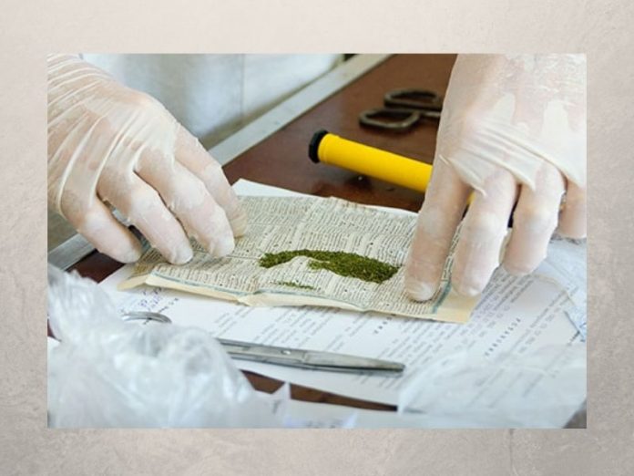 юбители каннабиса были задержаны с поличным в Рыбнице