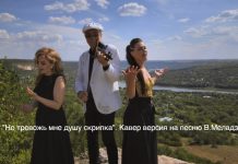 Не тревожь мне душу скрипка. В.Меладзе