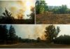 Огонь угрожал лесополосе недалеко от с. Воронково УБЕРЕГЛИ ЛЕСОПОЛОСУ ОТ ОГНЯ в с.Воронково