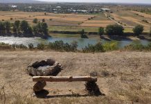 Погода 5 октября 2023 года в Приднестровье Погода, без осадков