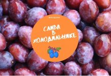 Молдавскую сливу заложат на хранение в холодильники гораздо меньше, чем в прошлом году Слива в холодильнике
