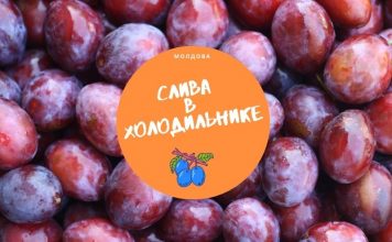 Молдавскую сливу заложат на хранение в холодильники гораздо меньше, чем в прошлом году Слива в холодильнике