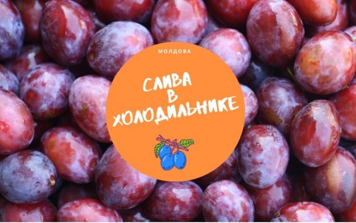 Слива в холодильнике Слива в холодильнике