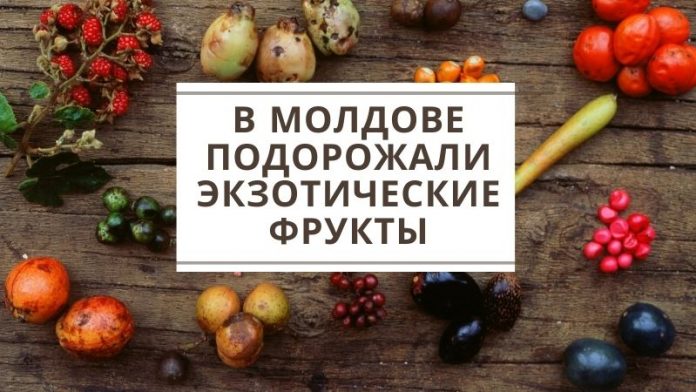В Молдове подорожали экзотические фрукты