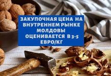 Ядра грецкого ореха в Молдове упали в цене на 30% закупочная цена на внутреннем рынке МОЛДОВЫ оценивается в 3-5 евро/кг