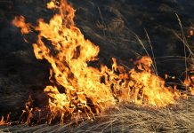 Жительница села Выхватинцы получила ожоги III степени, когда сжигала вещи в овраге Жительница села Выхватинцы получила ожоги III степени, когда сжигала вещи в овраге