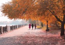 Погода 25 октября 2023 года в Приднестровье Погода в Приднестровье