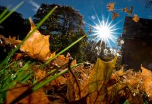 Погода 31 октября 2023 года в Приднестровье погода, теплая