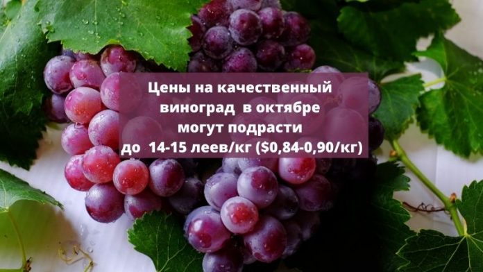 Цены на виноград в октябре могут подрасти до 14-15 леев_кг ($0,84-0,90_кг).