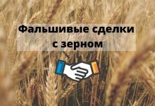 В Молдове активизировались мошенники при закупке зерна Фальшивые сделки с зерном