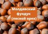 Площадь фундука (лесного ореха) в Молдове превысила 1 тыс. га Молдавский лесной орех (фундук)