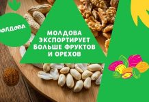 Молдова экспортирует больше фруктов и орехов, чем Турция. Так ли это? Молдова экспортирует больше фруктов и орехов