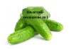 Молдавский огурец подешевел Огурец пупырчатый