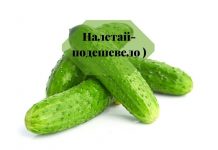 Молдавский огурец подешевел Огурец пупырчатый