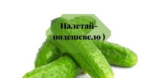 Молдавский огурец подешевел Огурец пупырчатый