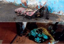 В Рыбнице пожарные спасли двух человек из горящей квартиры Пожарные спасли двух человек из горящей квартиры