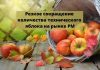 В Молдове самый низкий уровень переработки яблок за последние 5 лет Резкое сокращение количества технического яблока на рынке РМ