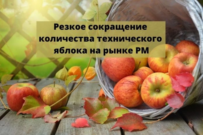 Резкое сокращение количества технического яблока на рынке РМ Резкое сокращение количества технического яблока на рынке РМ