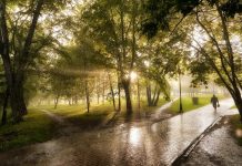 Погода 8 апреля в Приднестровье Погода в Приднестровье