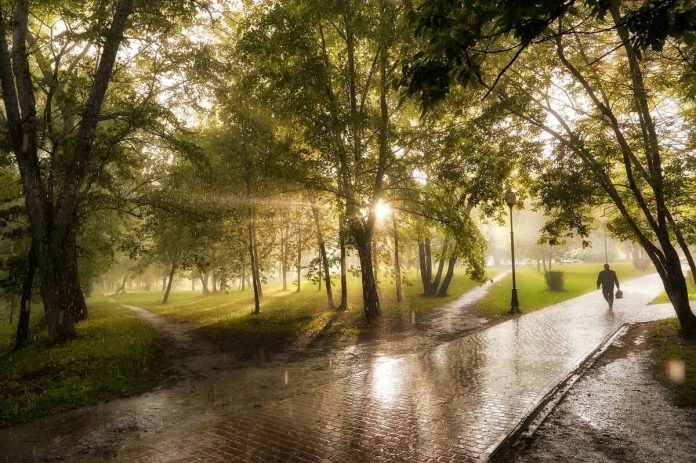 Погода в Приднестровье Погода в Приднестровье