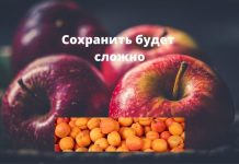 Хранить фрукты зимой 2020 будет сложно Сохранить будет сложно